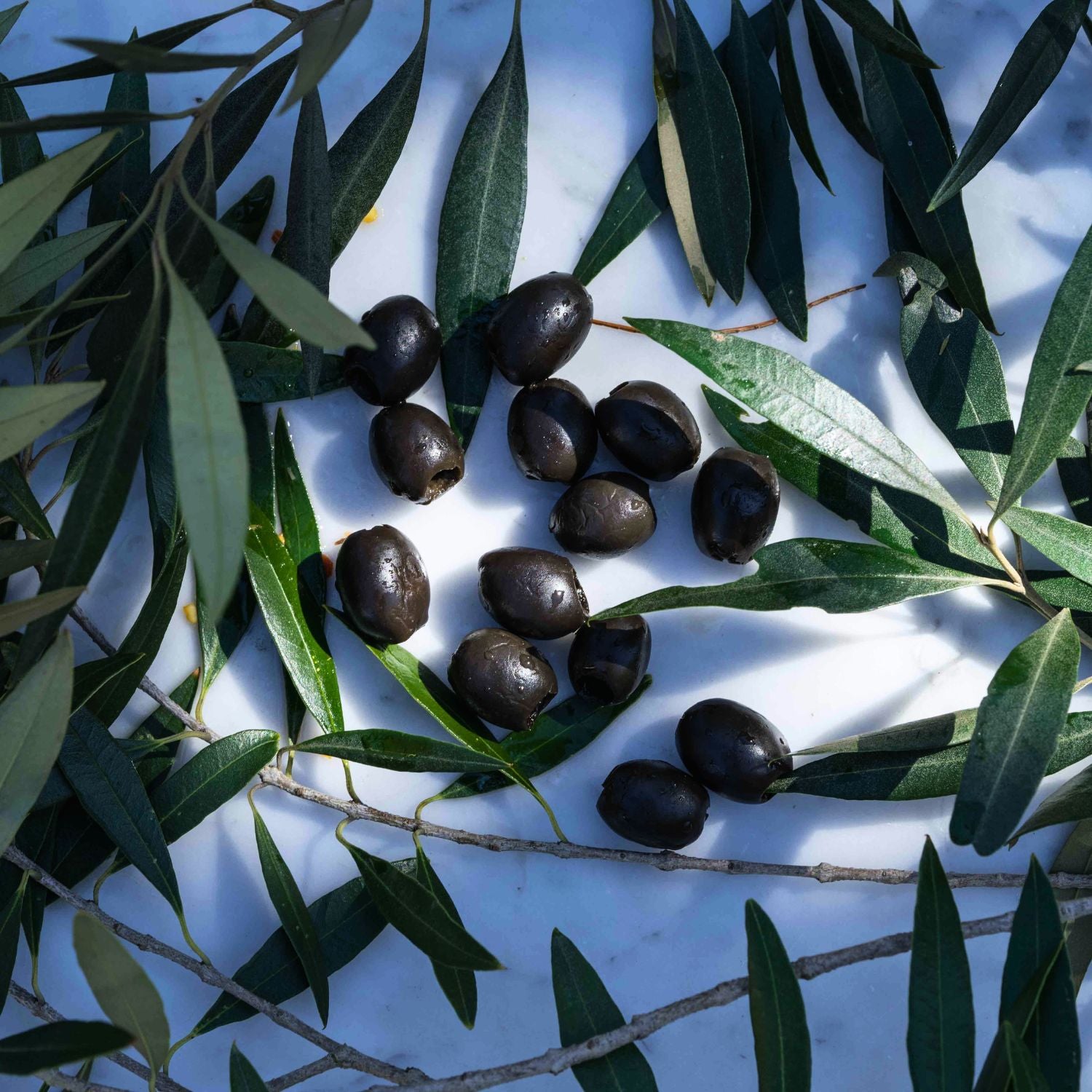 Fresh Black Olives - 1kg