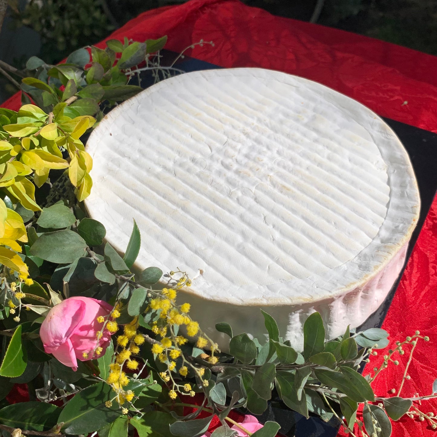 Whole Wheel of cheese - Crémeux d’Argental 2 kg