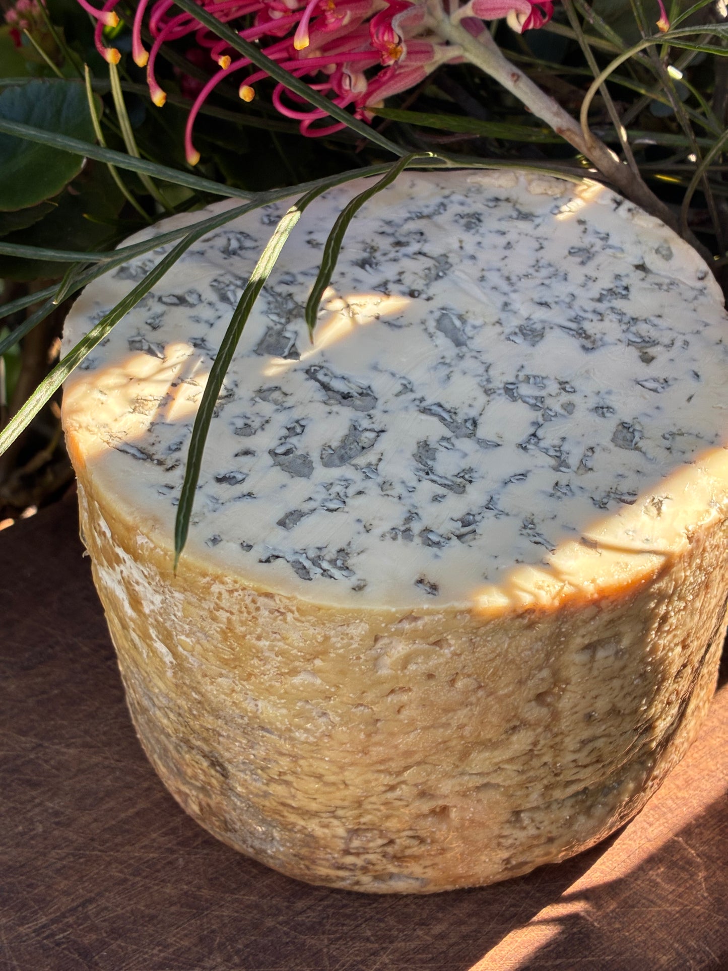Fourme d'Ambert AOP French Blue Cheese – 120g to 150g