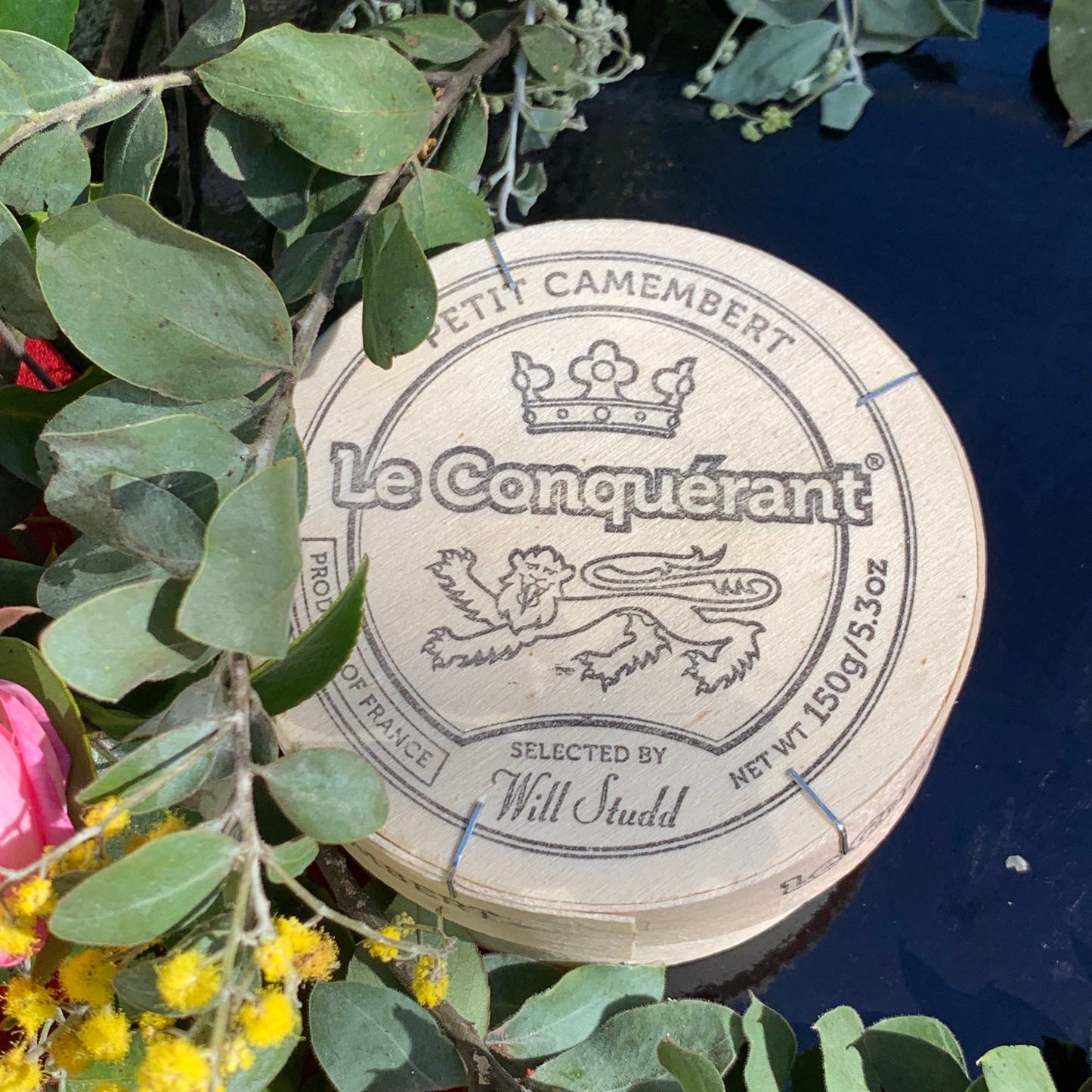 Le Conquerant Petit Camenbert