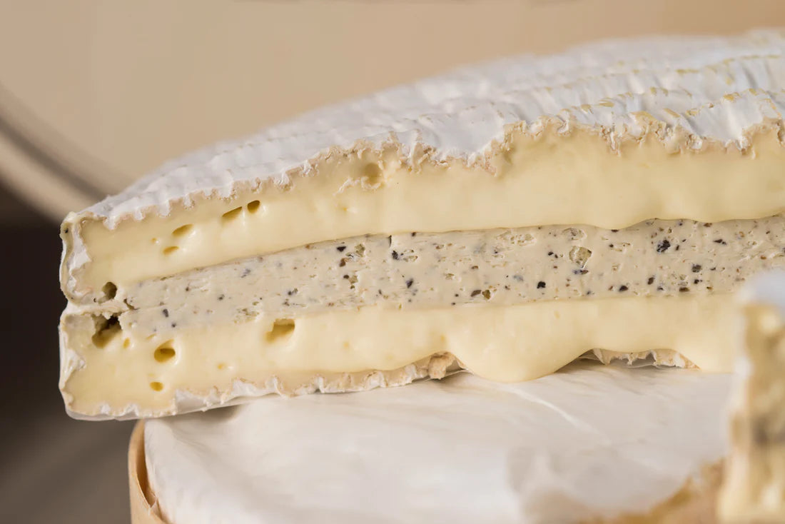 Whole Wheel of cheese - Fromage A La Trugge Noire 1.6Kg