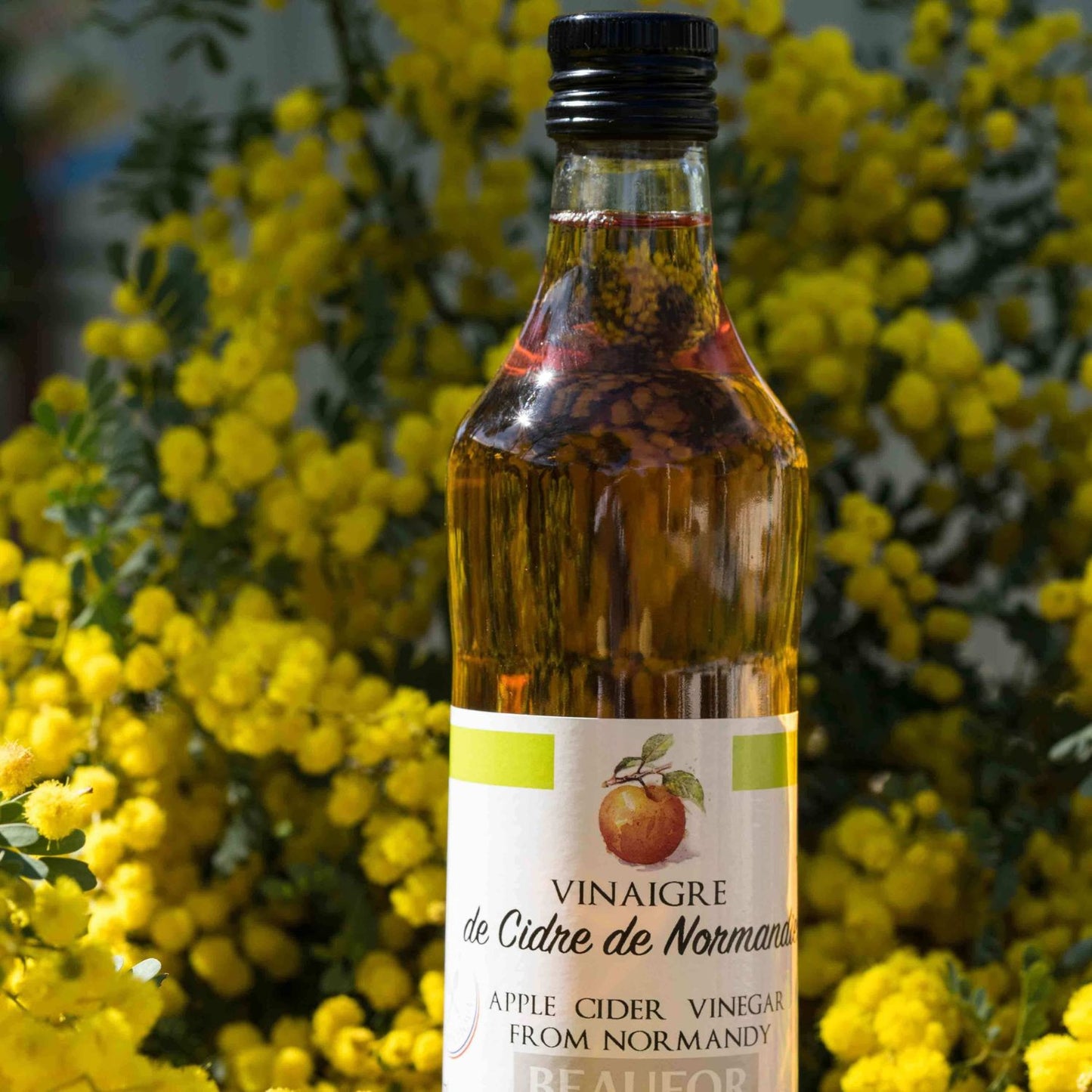 Apple Cider Vinegar from Normandy France - 500ml