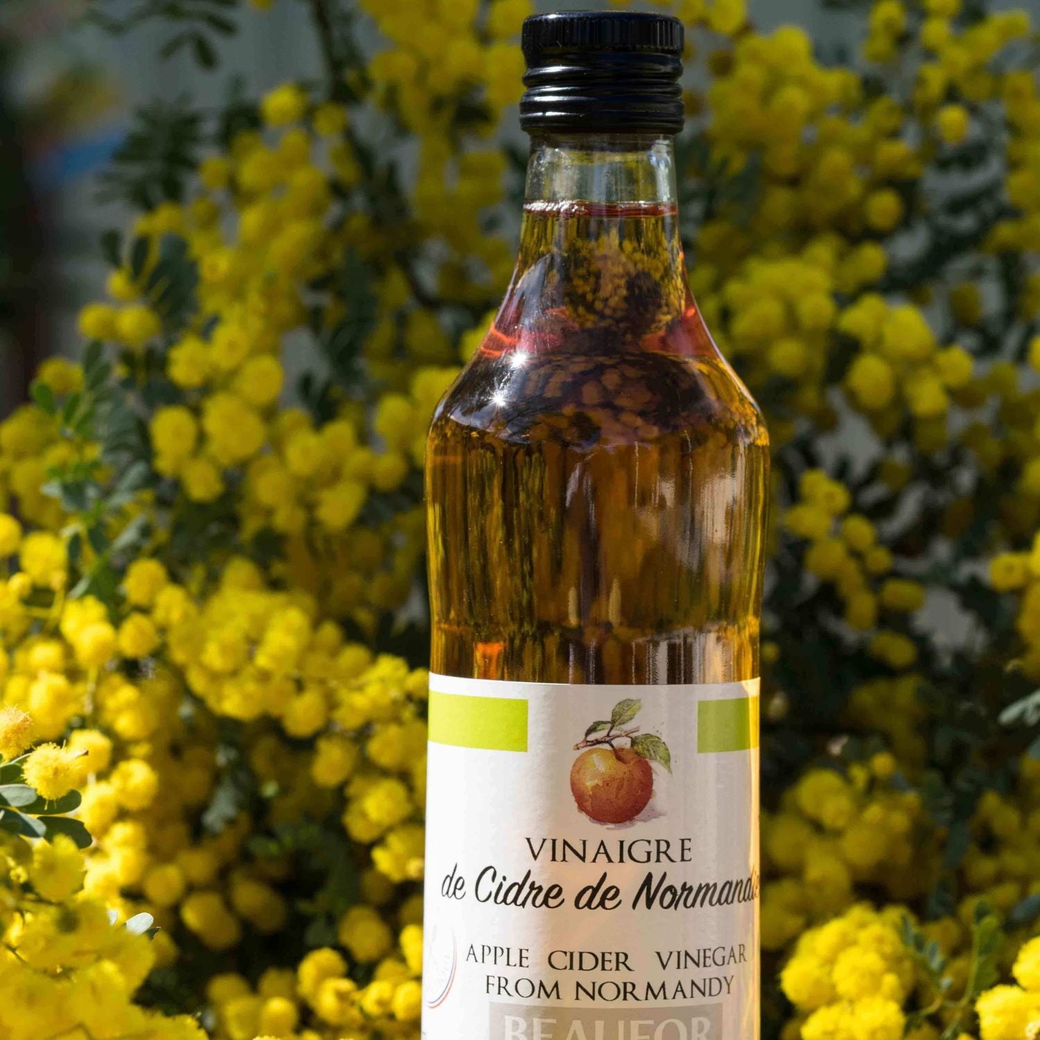 Apple Cider Vinegar from Normandy France - 500ml