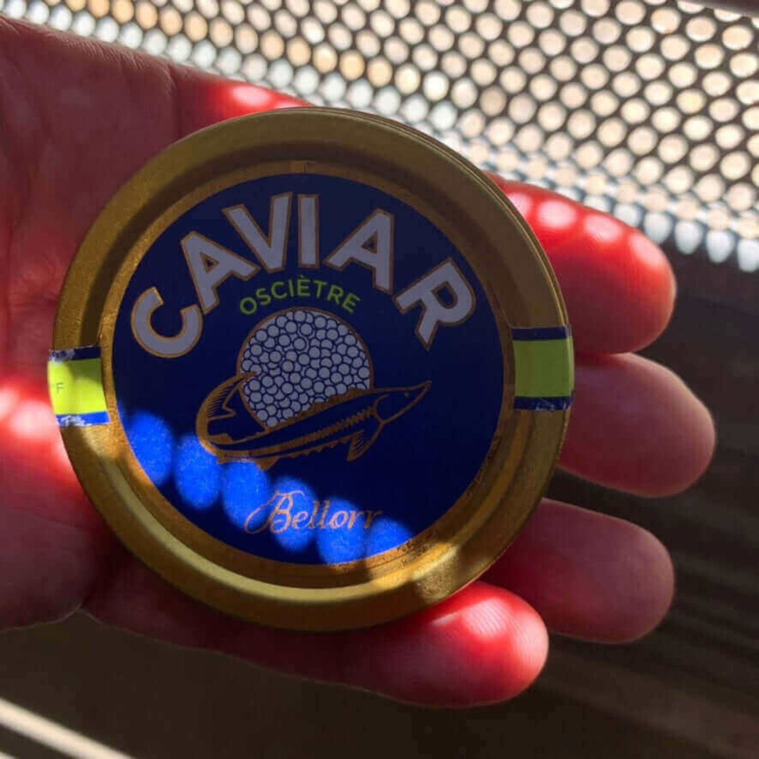 Bellorr Caviar Baerii