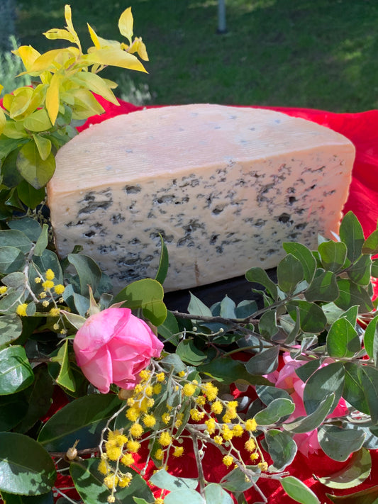 Whole Wheel of cheese - Bleu d'Auvergne 2.8 kg