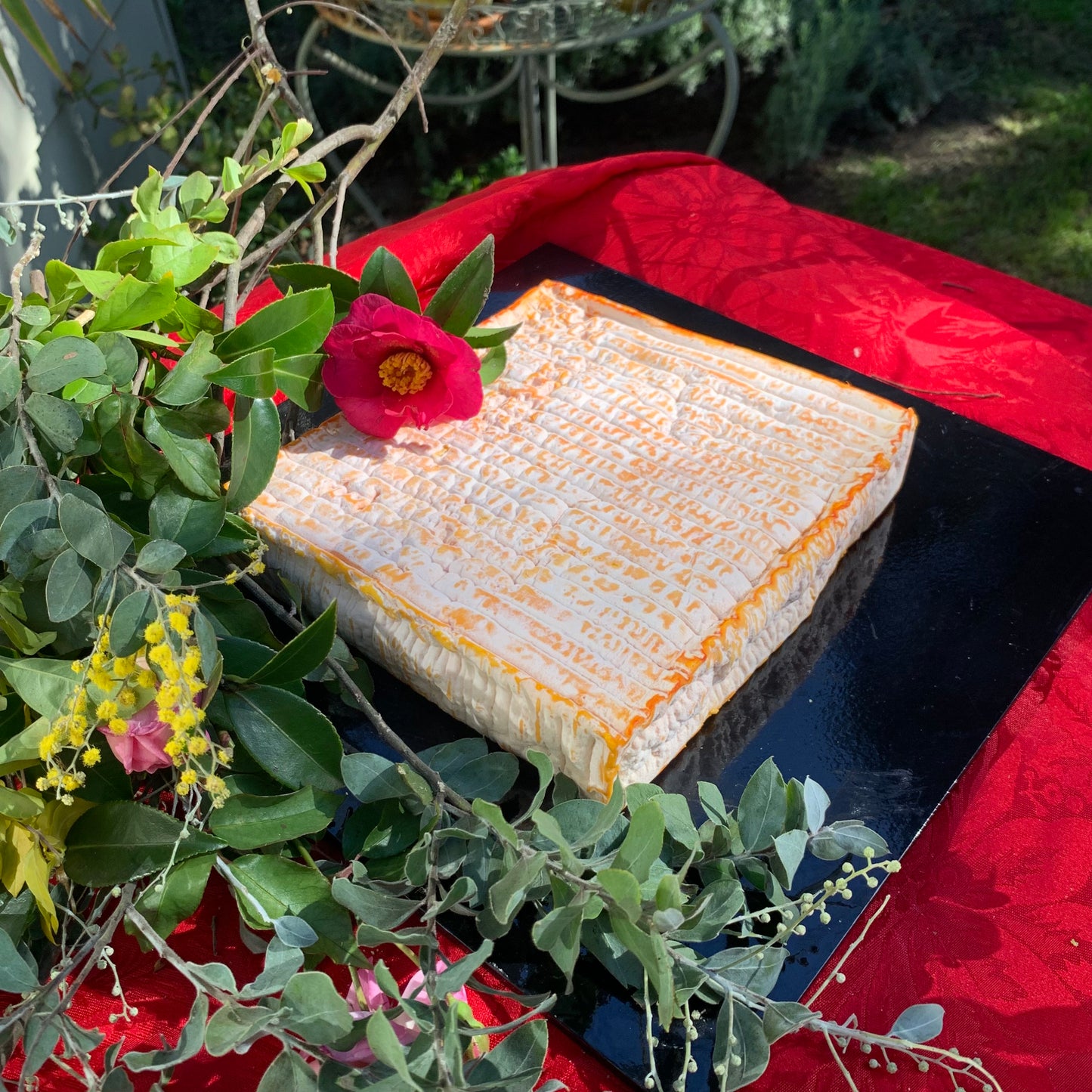 Whole Wheel of cheese - Brebirousse d'Argental 935g