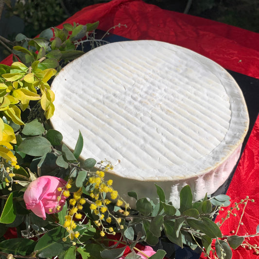 Whole Wheel of cheese - Crémeux d’Argental 2 kg