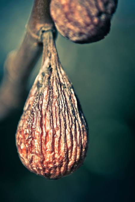 Dried Figs - 200g