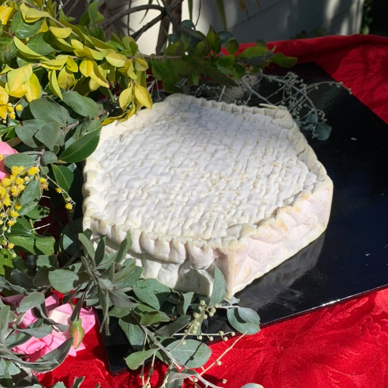 Whole Wheel of cheese - Chevre D'Argental 1kg – Stephs Gourmet Foods