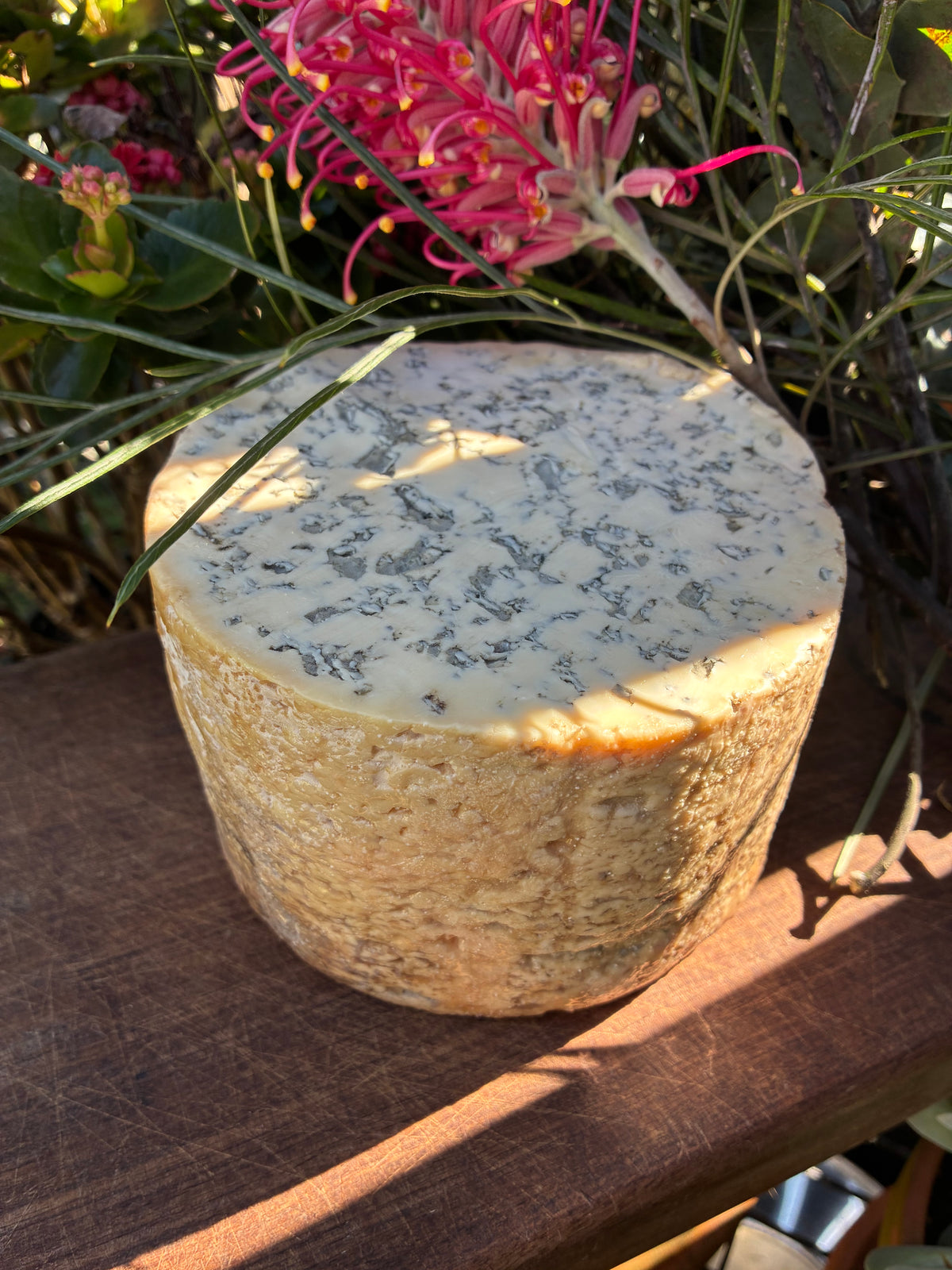 Fourme d'Ambert AOP French Blue Cheese – 120g to 150g