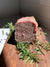 Country Style Terrine-120g-650g-1.3kg