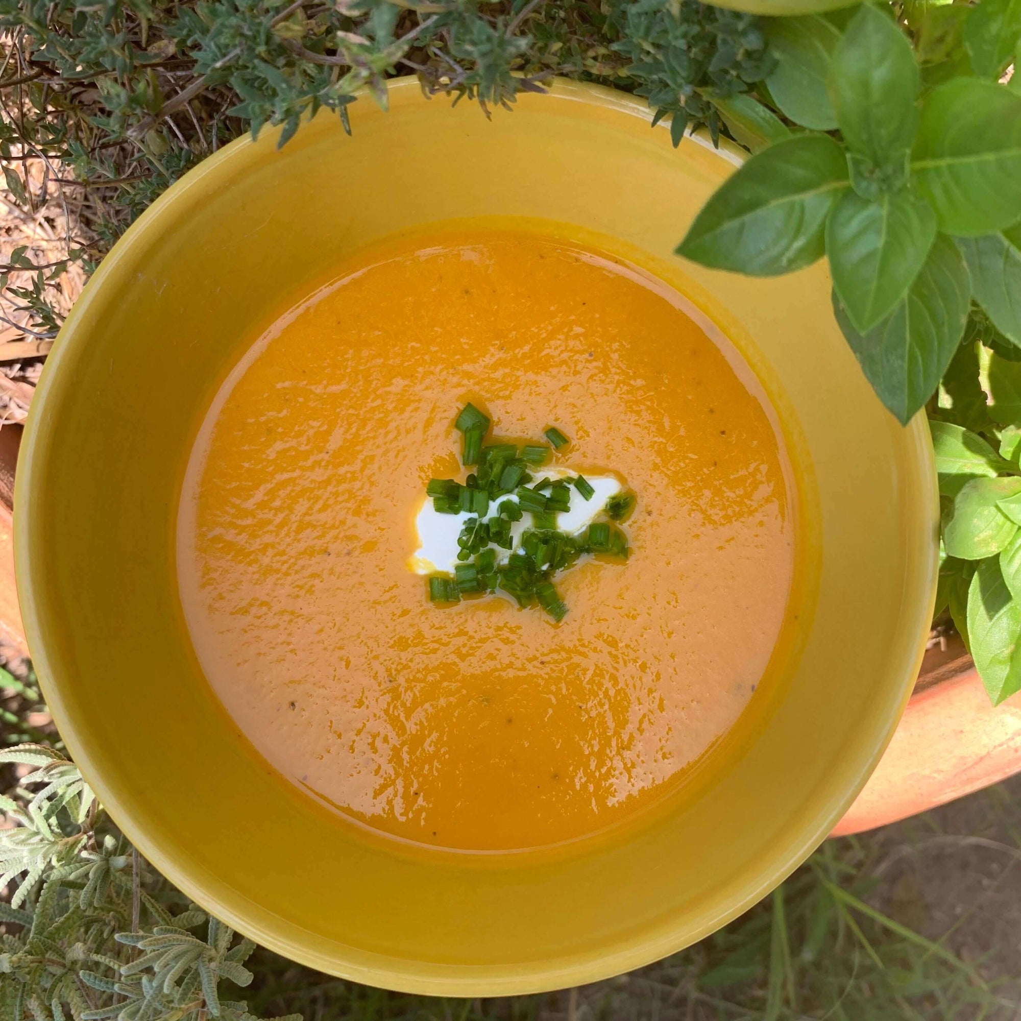 Delicious Cold Carrot Soup - 400g