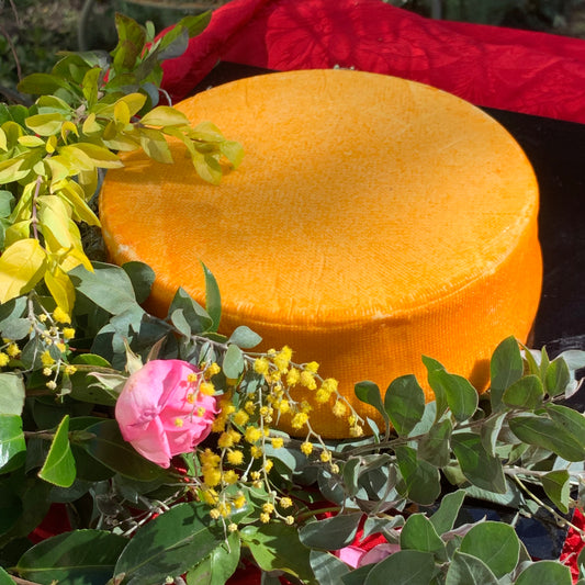 Whole Wheel of cheese - Port Salut 2kg