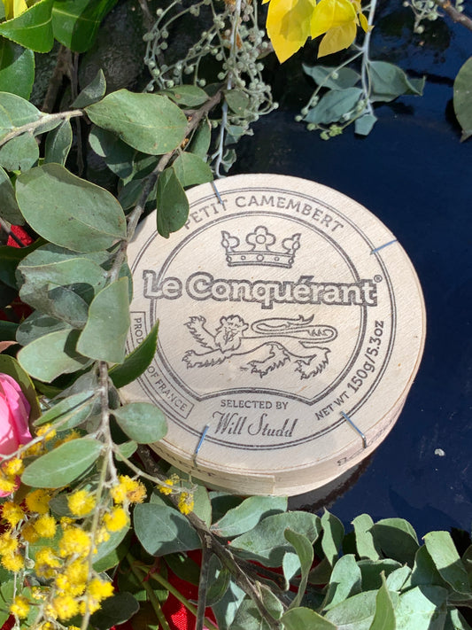 Le Conquerant Petit Camenbert