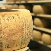 Parmigiano Reggiano aged 40 months