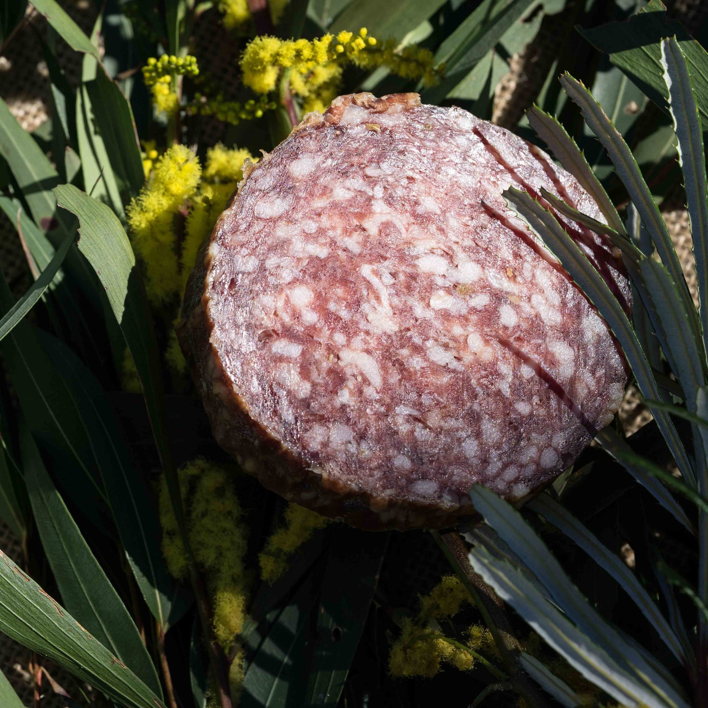 Fennel Salami Sliced - 200g