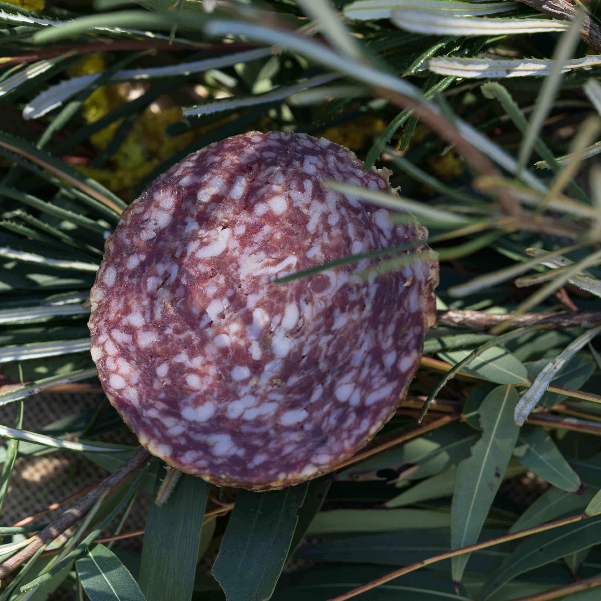 Fennel Salami Sliced - 200g