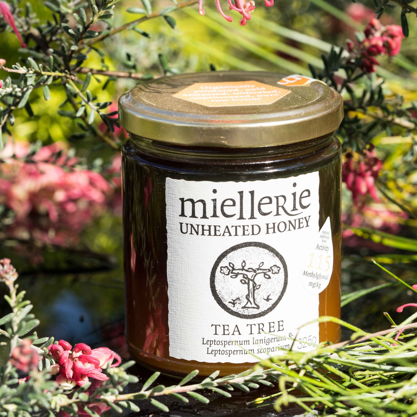 Tea Tree (Manuka) Honey-325g