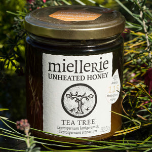 Tea Tree (Manuka) Honey-325g